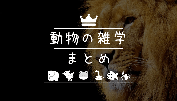 ライオンとその他の動物
